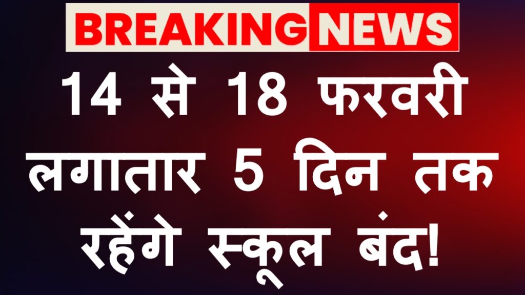 February School Holiday